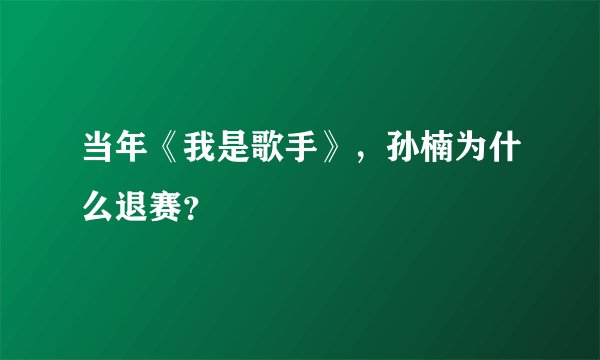 当年《我是歌手》，孙楠为什么退赛？