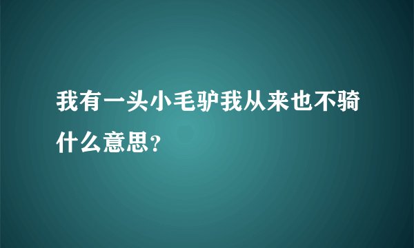 我有一头小毛驴我从来也不骑什么意思？