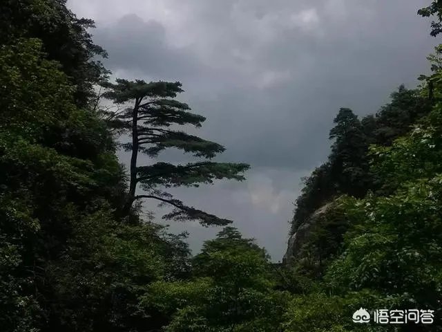 韶关国家森林公园值得去玩吗？