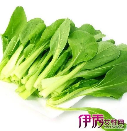 鸡毛菜图片大全