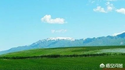 新疆新源县怎么样?