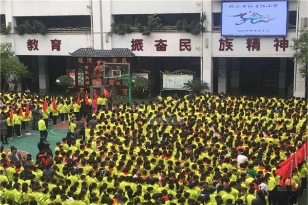 合肥市公立小学排名榜 合肥市青年路小学上榜第一设备丰富