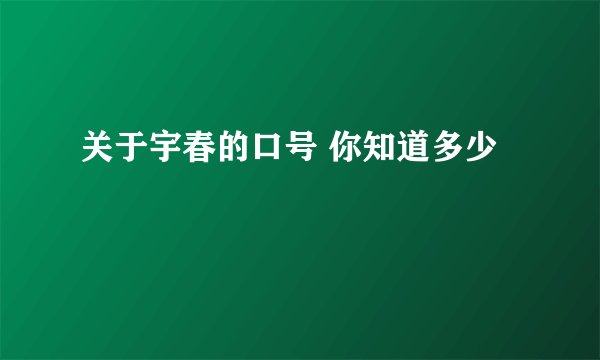 关于宇春的口号 你知道多少