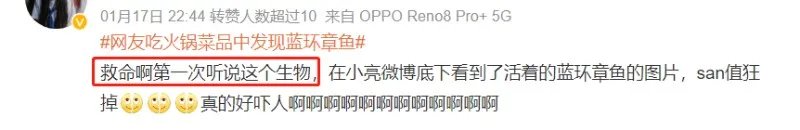 含有剧毒的蓝环章鱼 正在悄悄混入市场