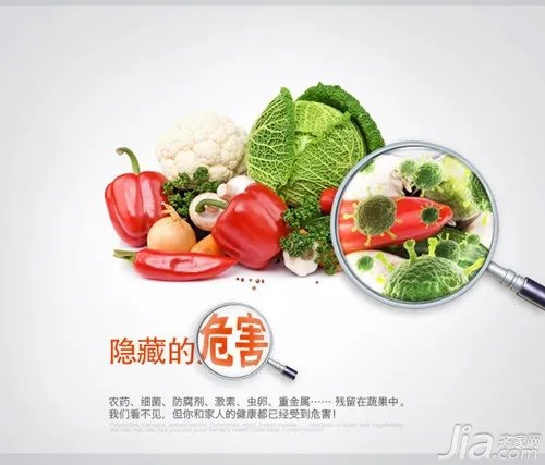 果蔬解毒机报价 果蔬解毒机工作原理