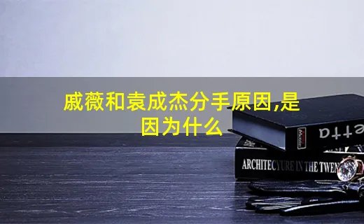 戚薇和袁成杰分手原因,是因为什么