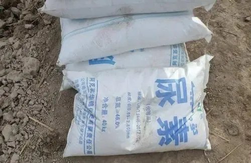 尿素和氯化铵哪种肥料容易使土壤板结？尿素的主要成分有哪些？