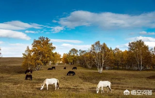 10日，网曝著名男高音歌唱家杨阳不幸离世，年仅45岁，你怎么看？