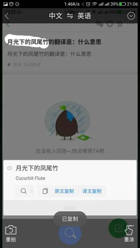 月光下的凤尾竹的翻译是：什么意思