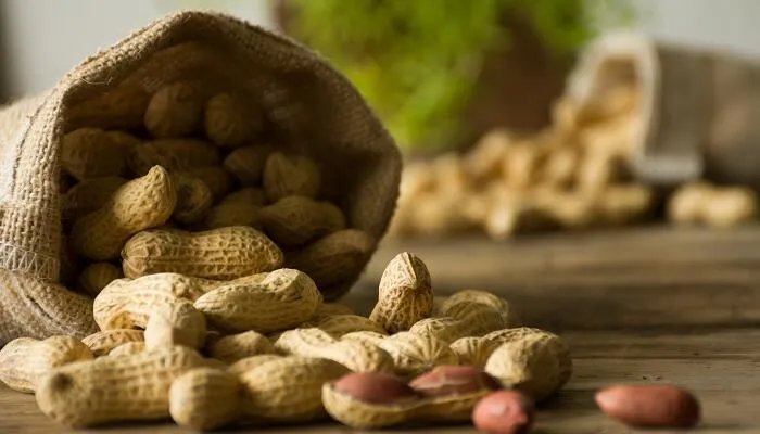 落花生课文的主要内容 概括落花生的主要内容