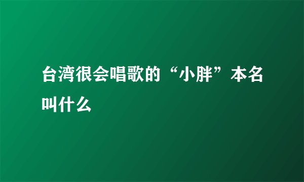 台湾很会唱歌的“小胖”本名叫什么