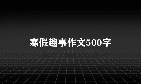 寒假趣事作文500字