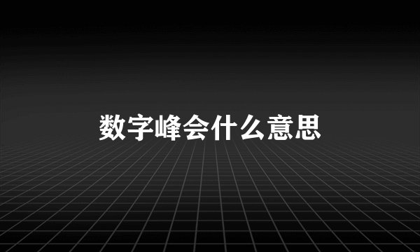数字峰会什么意思
