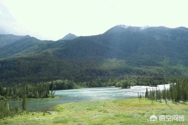 喀纳斯的风景如何?