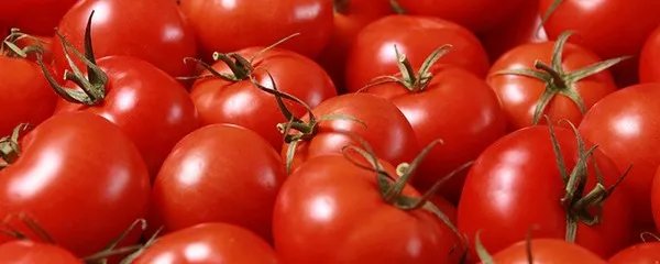 减肥食谱有哪些