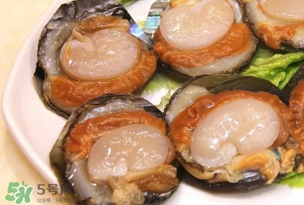 带子是什么海鲜？带子是什么东西