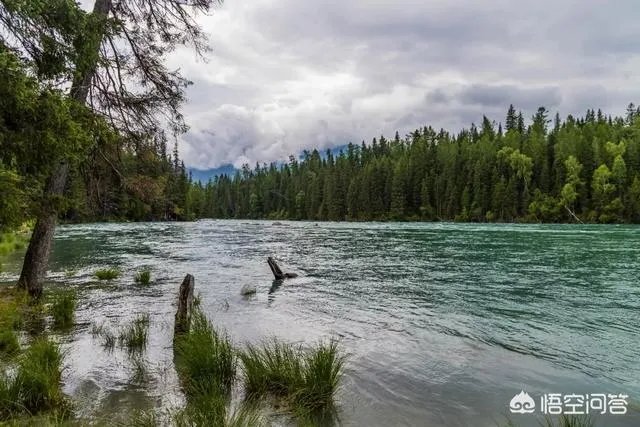 喀纳斯的风景如何?
