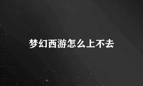 梦幻西游怎么上不去