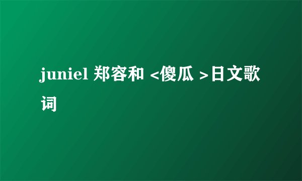 juniel 郑容和 <傻瓜 >日文歌词
