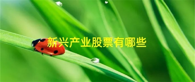 新兴产业股票有哪些