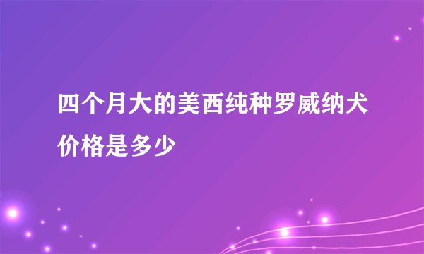 四个月大的美西纯种罗威纳犬价格是多少