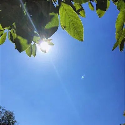 2018最时尚的微信图片