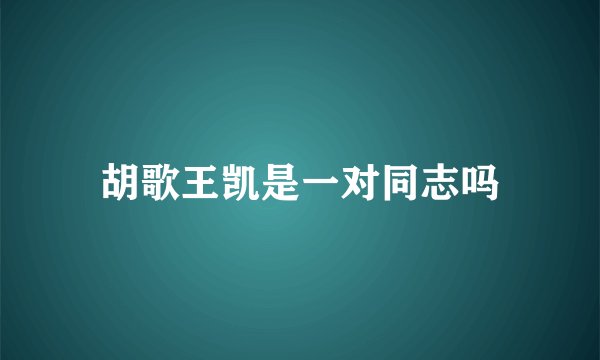 胡歌王凯是一对同志吗