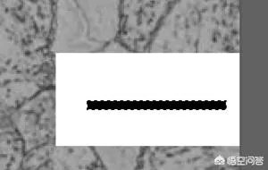 电脑里尺子的用法，怎样使用ps标尺工具？