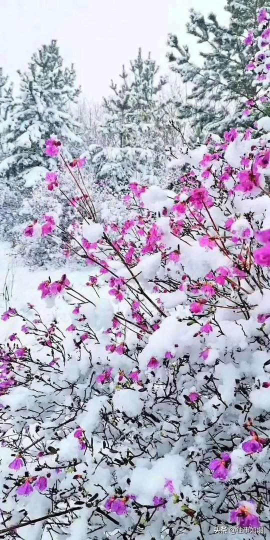 就牡丹江康安医院饭菜问题，可以谈谈大家此刻的想法吗？