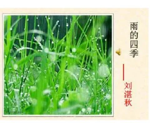 七年级《雨的四季》读读写写中的拼音全部