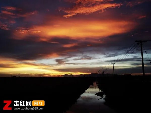 流浪在于街中仿佛给我冷笑是什么歌，晚风吹送歌曲介绍