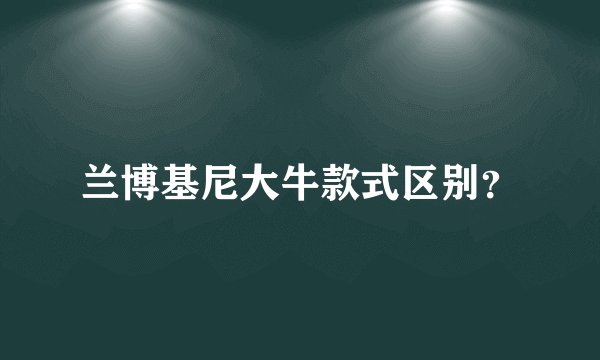 兰博基尼大牛款式区别？