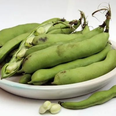 男人吃什么食物壮阳