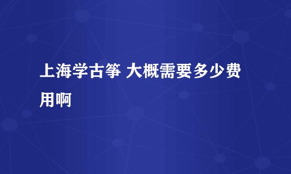 上海学古筝 大概需要多少费用啊