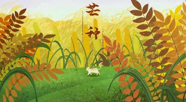 关于芒种有诗意的句子 描写芒种节气的优美句子