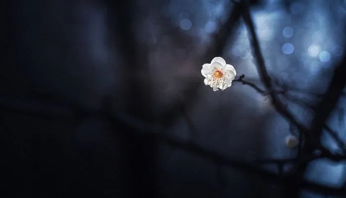 2023年立春是什么时候 2023年立春几点开始几点结束