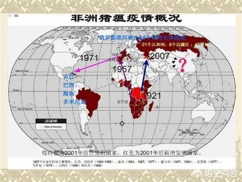 非洲猪瘟目前是什么情况？