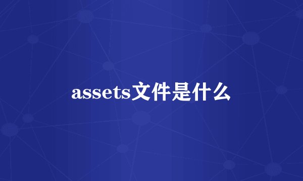 assets文件是什么