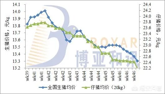 非洲猪瘟目前是什么情况？