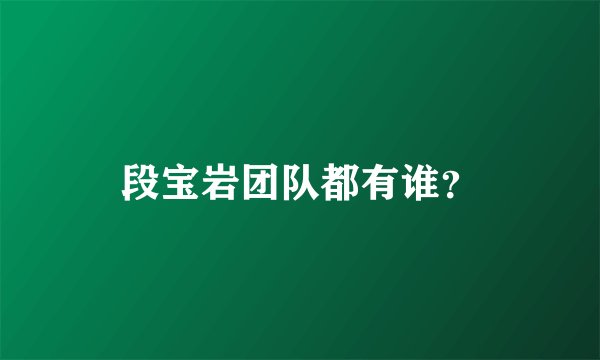 段宝岩团队都有谁？