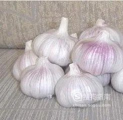 被毛毛虫蛰了怎么办