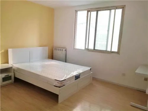 深圳什么网站租房