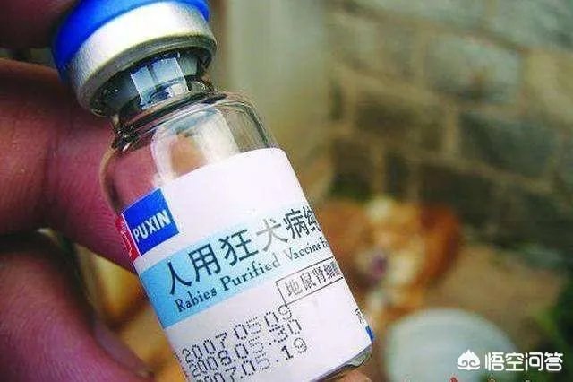 假如你是长春长生的一个普通员工，你知道了他们制造假药的事实，你会举报吗？