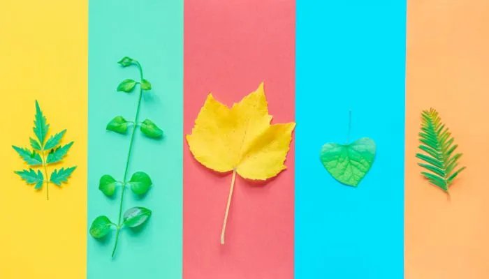 今年立秋是几点几分2023 北京时间8月8日2时23分迎来立秋