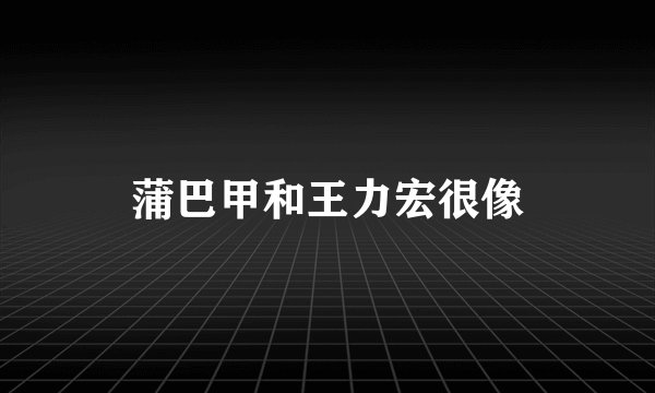 蒲巴甲和王力宏很像