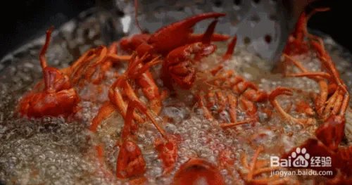 大虾来了小龙虾