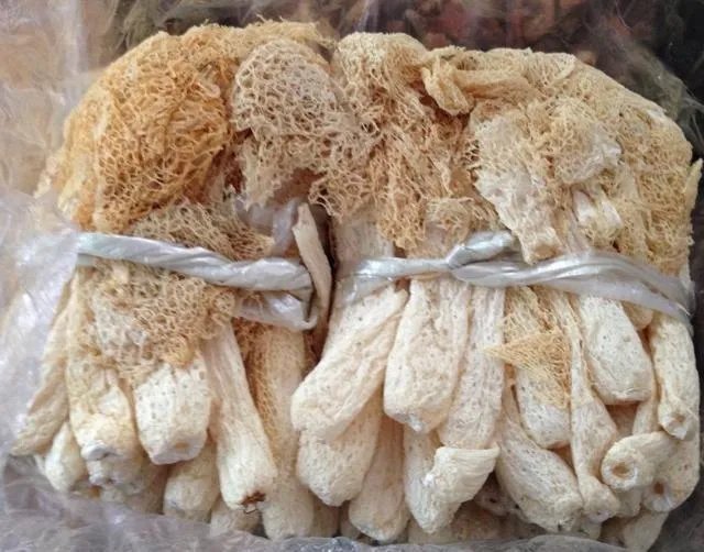 竹荪发黄变质图片?