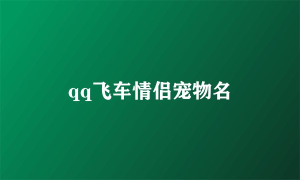 qq飞车情侣宠物名