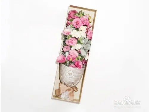 康乃馨多少钱一朵