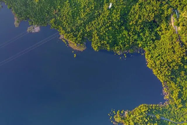 深圳十大钓鱼的地方 深圳野钓地点有哪些 水库钓鱼哪里好